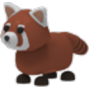 Red Panda